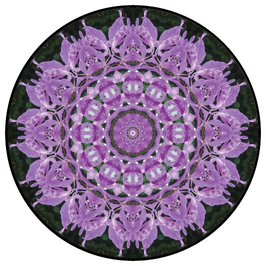 botanical mandala, mandala art