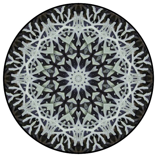 botanical mandala, mandala art