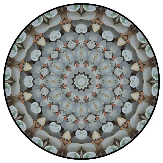 botanical mandala, mandala art