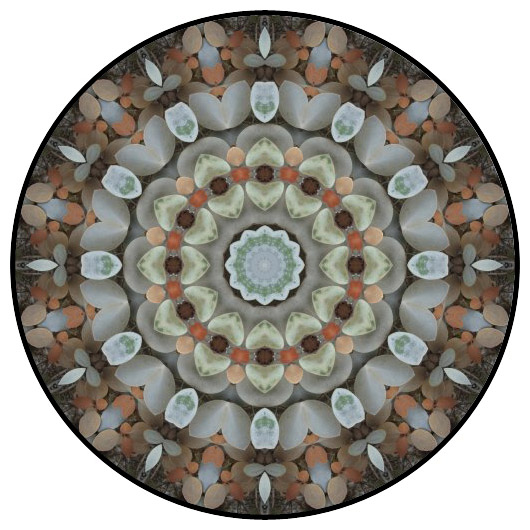 botanical mandala, mandala art