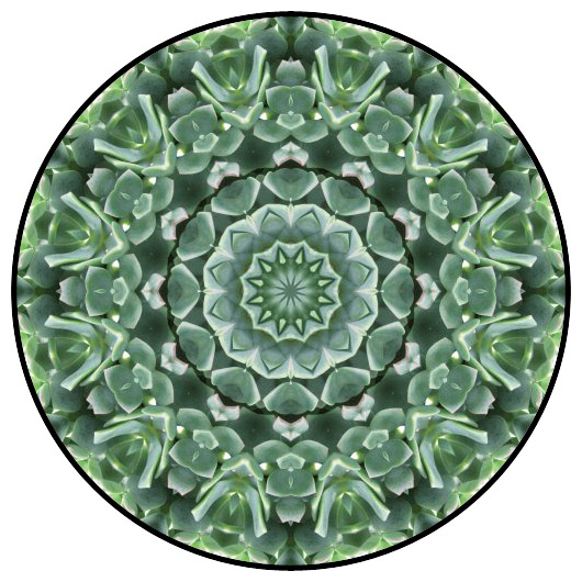 botanical mandala, mandala art