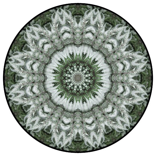 botanical mandala, mandala art