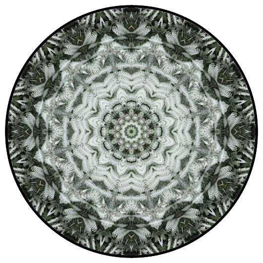 botanical mandala, mandala art