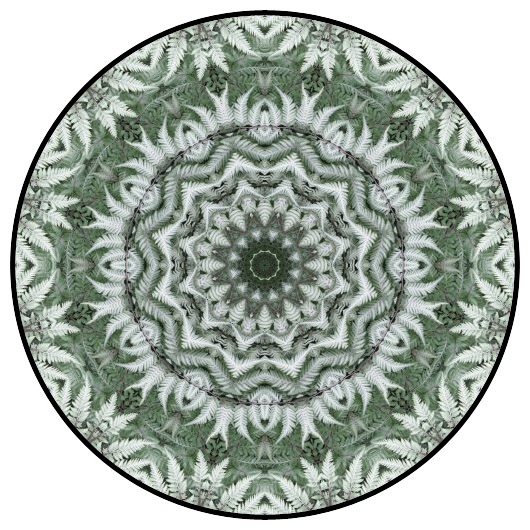 botanical mandala, mandala art