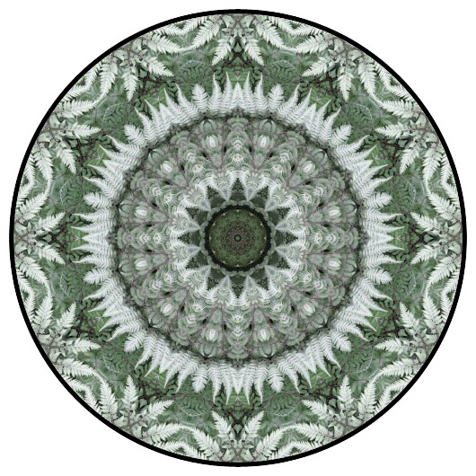 botanical mandala, mandala art