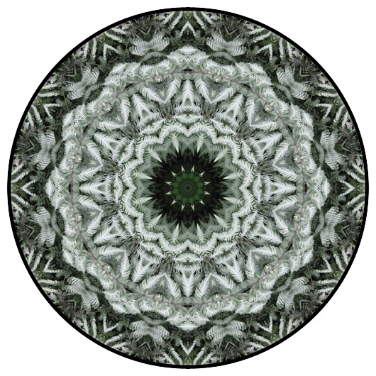 botanical mandala, mandala art