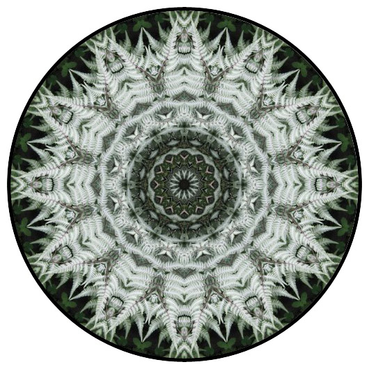 botanical mandala, mandala art