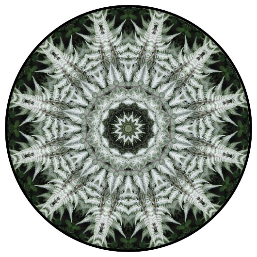 botanical mandala, mandala art