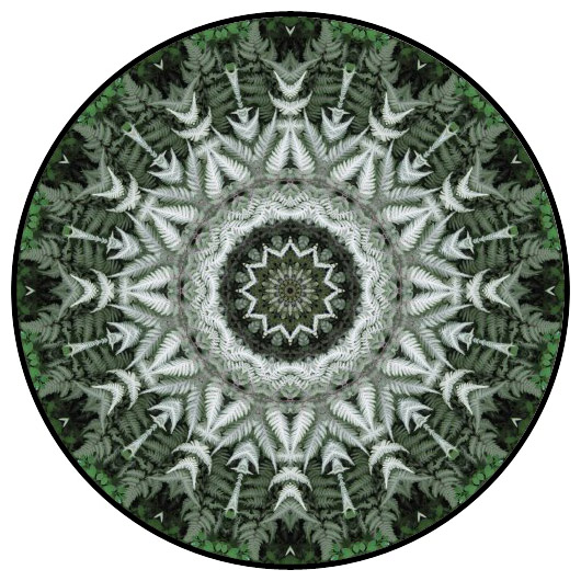 botanical mandala, mandala art