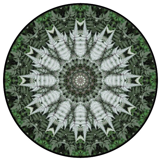 botanical mandala, mandala art