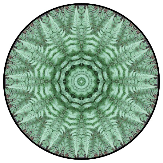 botanical mandala, mandala art