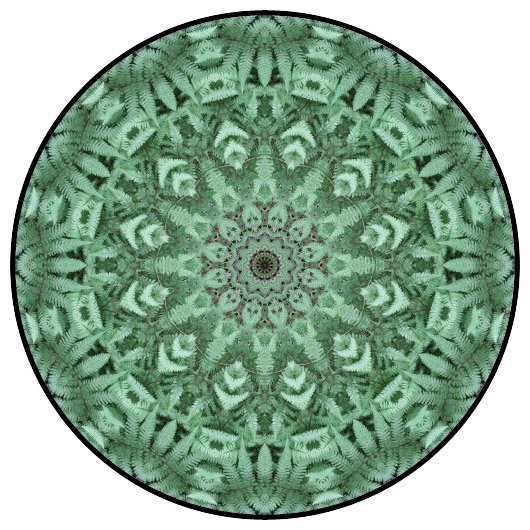 botanical mandala, mandala art