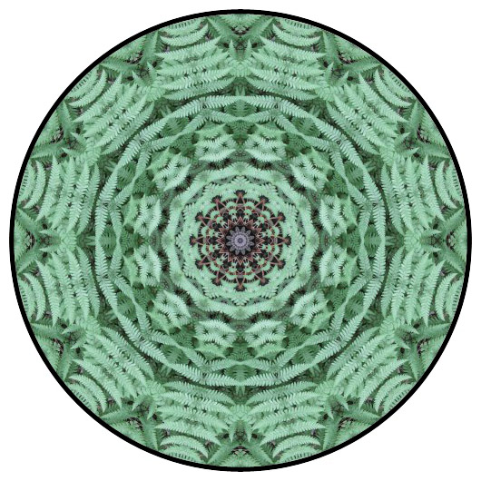botanical mandala, mandala art