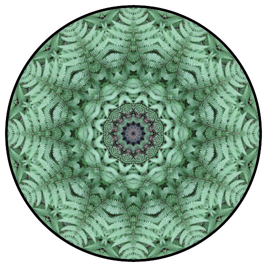 botanical mandala, mandala art