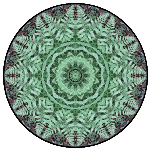 botanical mandala, mandala art