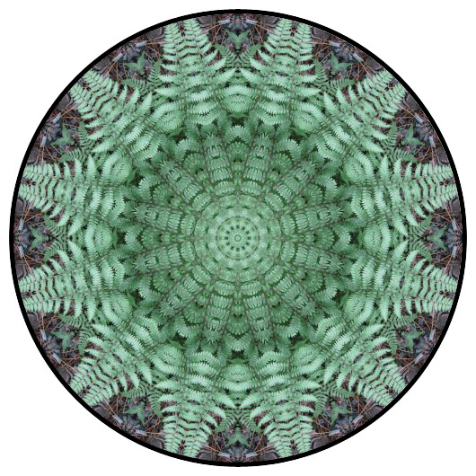 botanical mandala, mandala art
