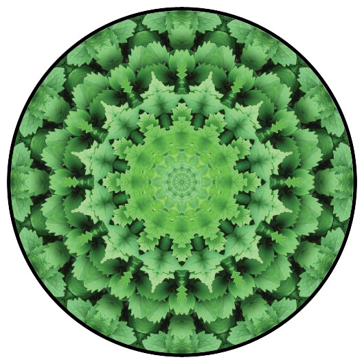 botanical mandala, mandala art