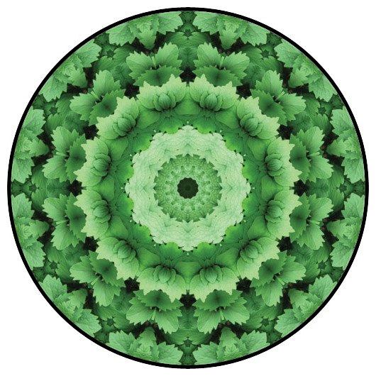 botanical mandala, mandala art