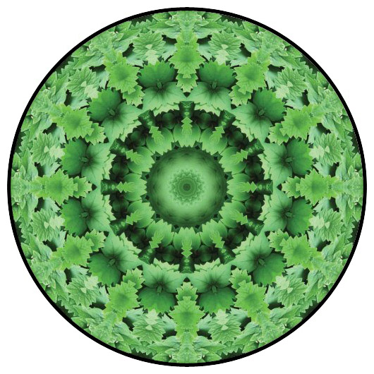 botanical mandala, mandala art