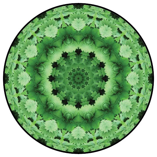 botanical mandala, mandala art