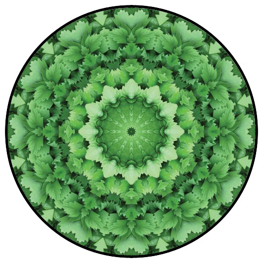 botanical mandala, mandala art