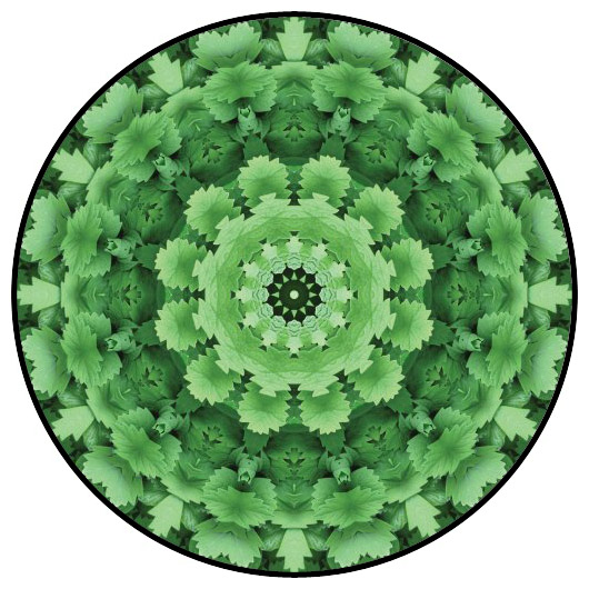 botanical mandala, mandala art
