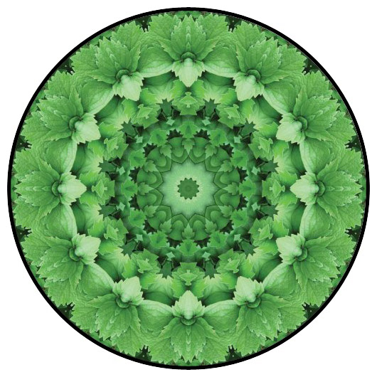 botanical mandala, mandala art