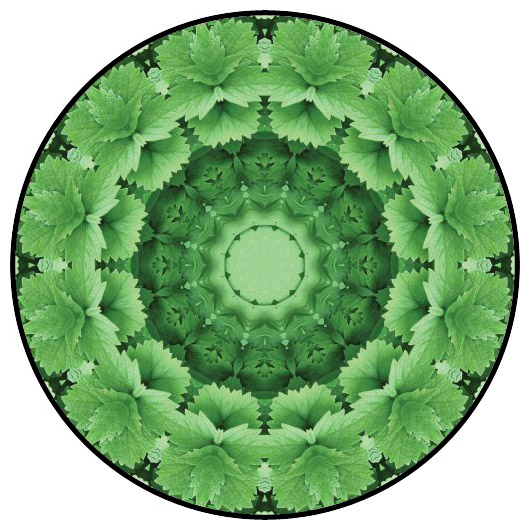 botanical mandala, mandala art