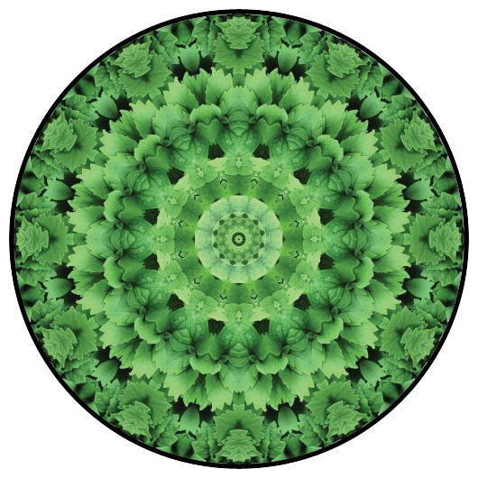 botanical mandala, mandala art