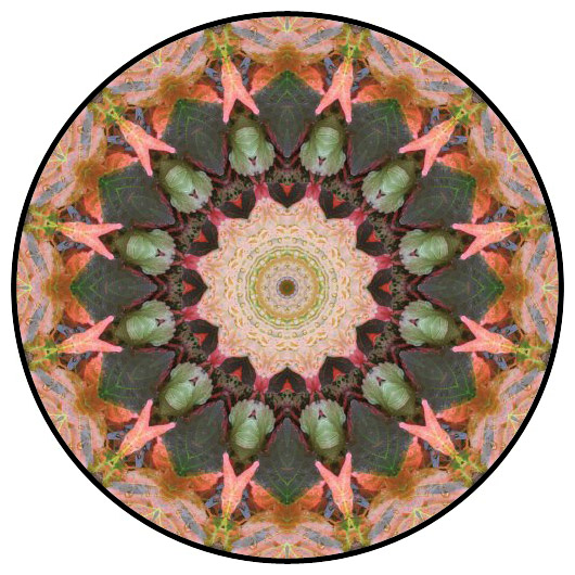 botanical mandala, mandala art