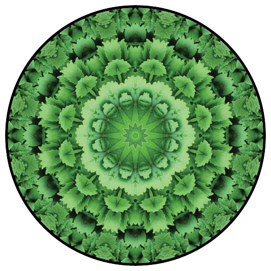 botanical mandala, mandala art