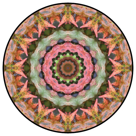 botanical mandala, mandala art