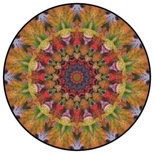 botanical mandala, mandala art