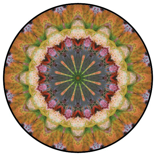 botanical mandala, mandala art