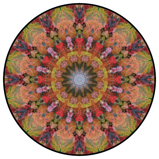 botanical mandala, mandala art
