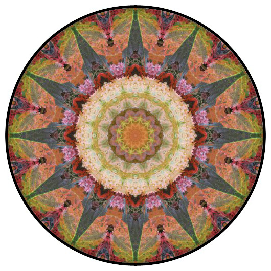 botanical mandala, mandala art
