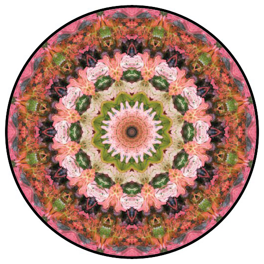 botanical mandala, mandala art