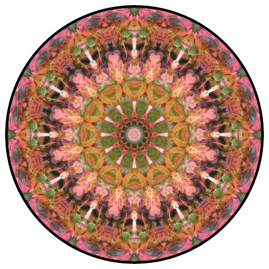 botanical mandala, mandala art