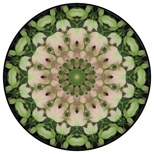 botanical mandala, mandala art
