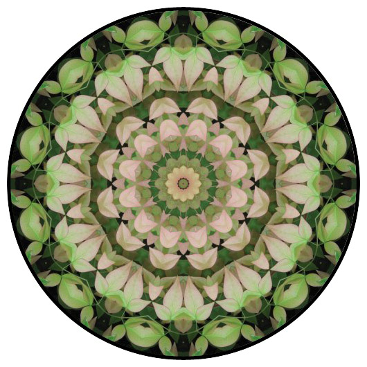 botanical mandala, mandala art