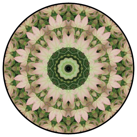 botanical mandala, mandala art