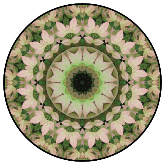 botanical mandala, mandala art