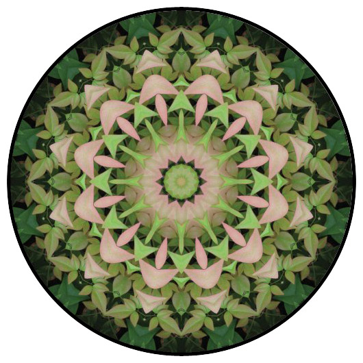 botanical mandala, mandala art