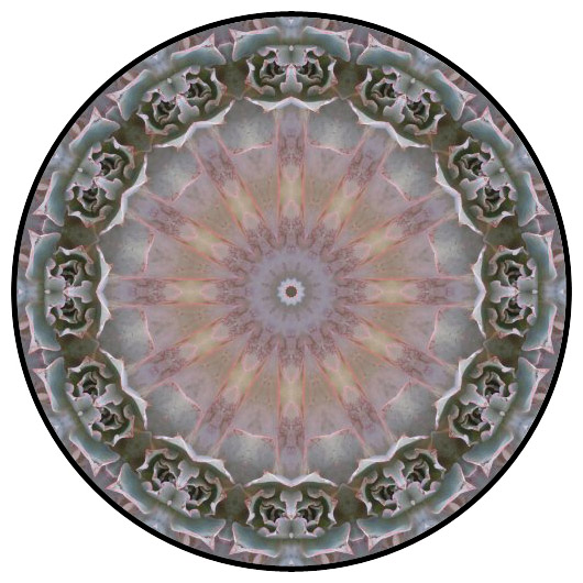 botanical mandala, mandala art