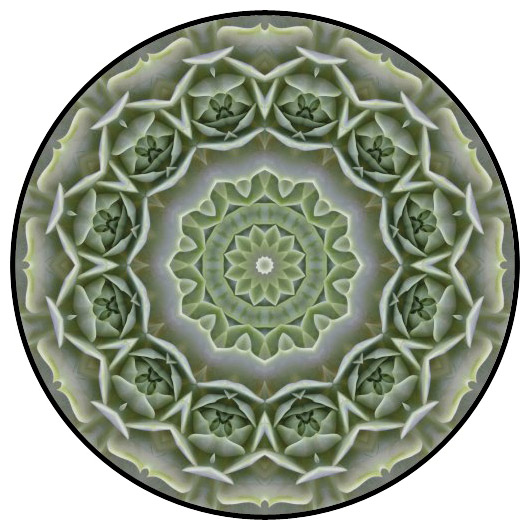 botanical mandala, mandala art
