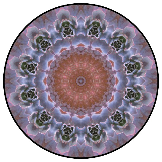 botanical mandala, mandala art