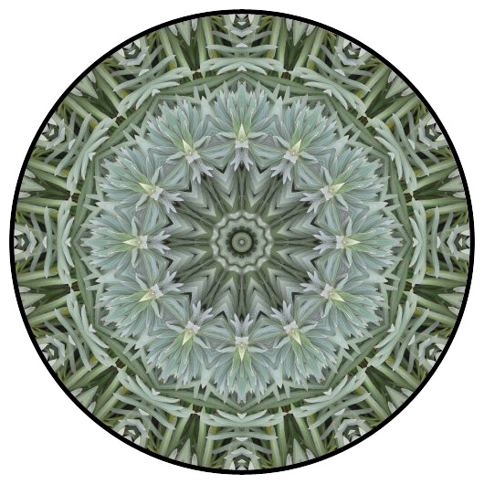 botanical mandala, mandala art