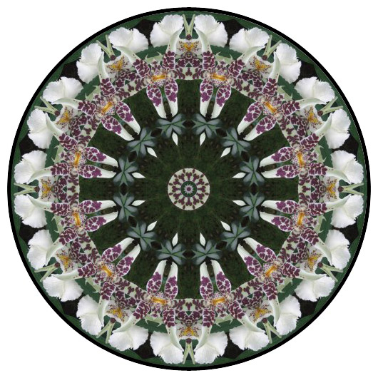 botanical mandala, mandala art
