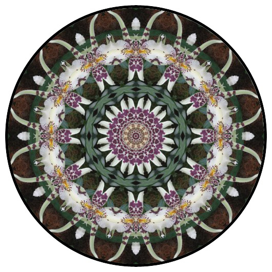 botanical mandala, mandala art
