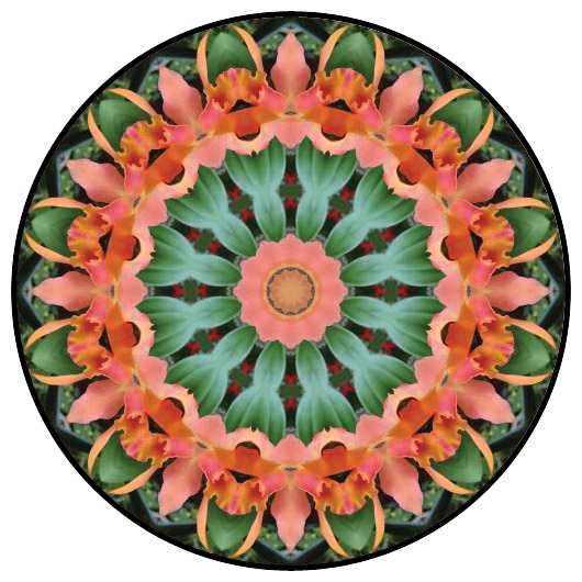 botanical mandala, mandala art